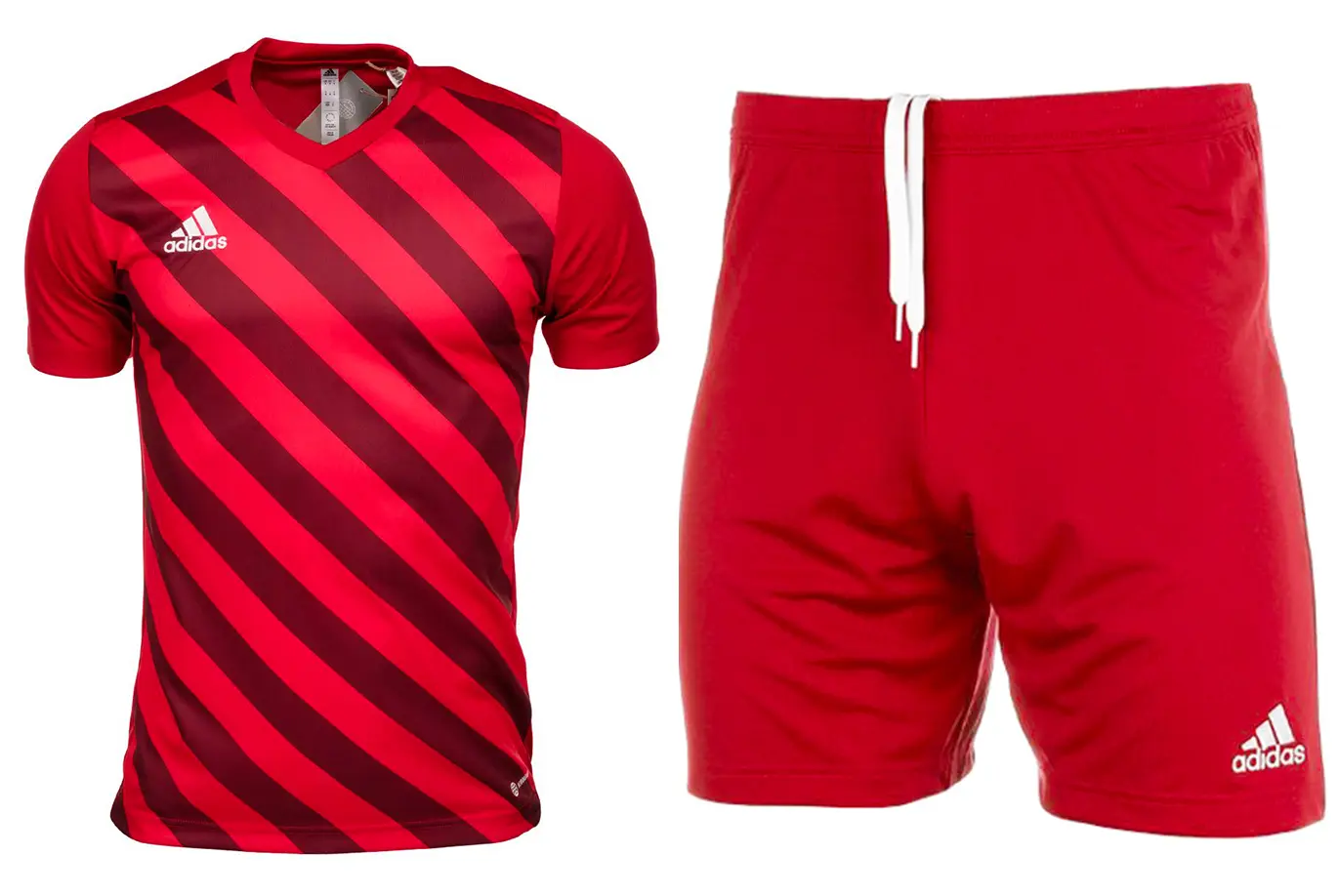 adidas dziecięcy strój sportowy koszulka spodenki Entrada 22 Graphic Jersey H58983/H57501