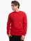 Zdjęcie Bluza męska 4F M1767 4FWMM00TSWSM1767 062S wariantu produktu