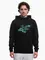 Zdjęcie Bluza męska z kapturem 4F M2241 4FWSS26TSWSM2241 20S wariantu produktu