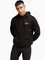 Zdjęcie Bluza męska Puma ESS 2 Color Small No.1 Logo Hoodie 684718 01 wariantu produktu