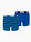 Zdjęcie Bokserki bawełniane dla dzieci Puma Everyday Striped 2 pak 938970 04 wariantu produktu