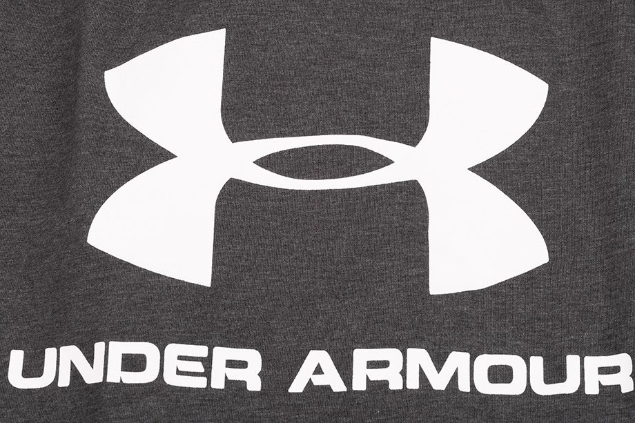 Under Armour spodenki męskie Sportstyle Cotton Logo 1329300 020