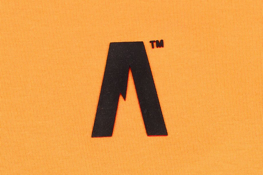 Alpinus Koszulka Męska T-Shirt A' ALP20TC0002_ADD 3