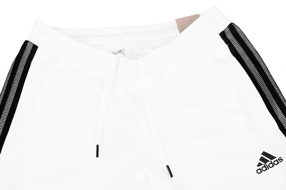 adidas spodnie damskie Tiro 21 Track Pant GN5493