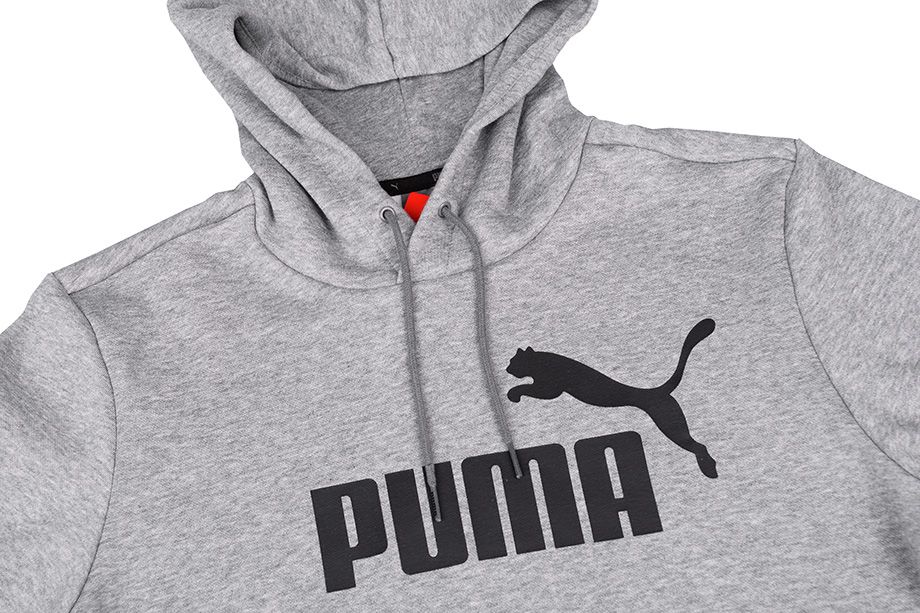PUMA Bluza męska Essentials Hoody Fleece Big Logo 851743 03