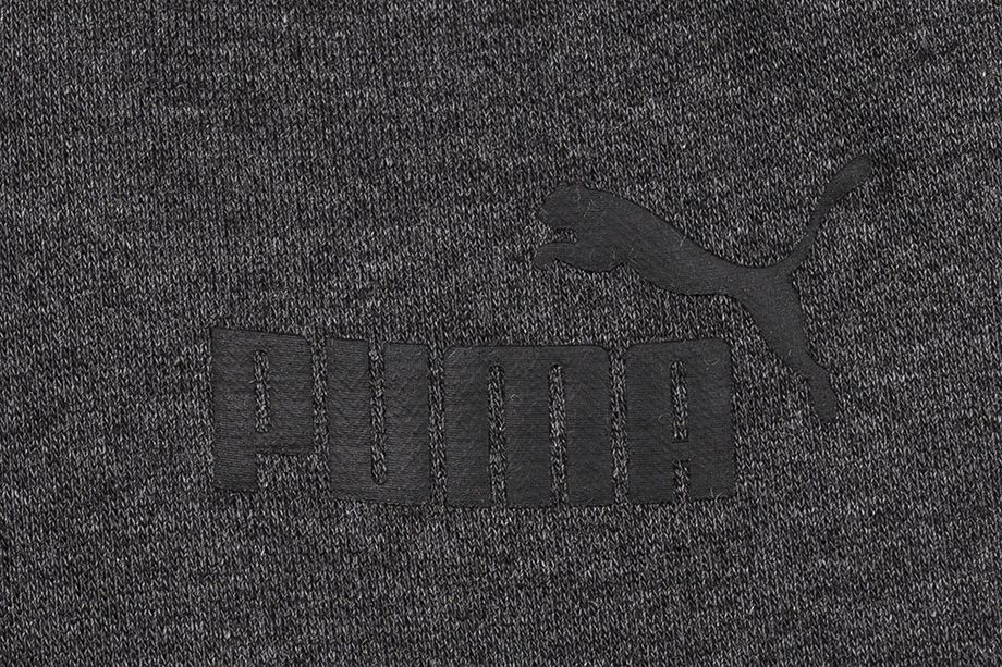 PUMA spodnie męskie ESS Logo FL CL 851753 40
