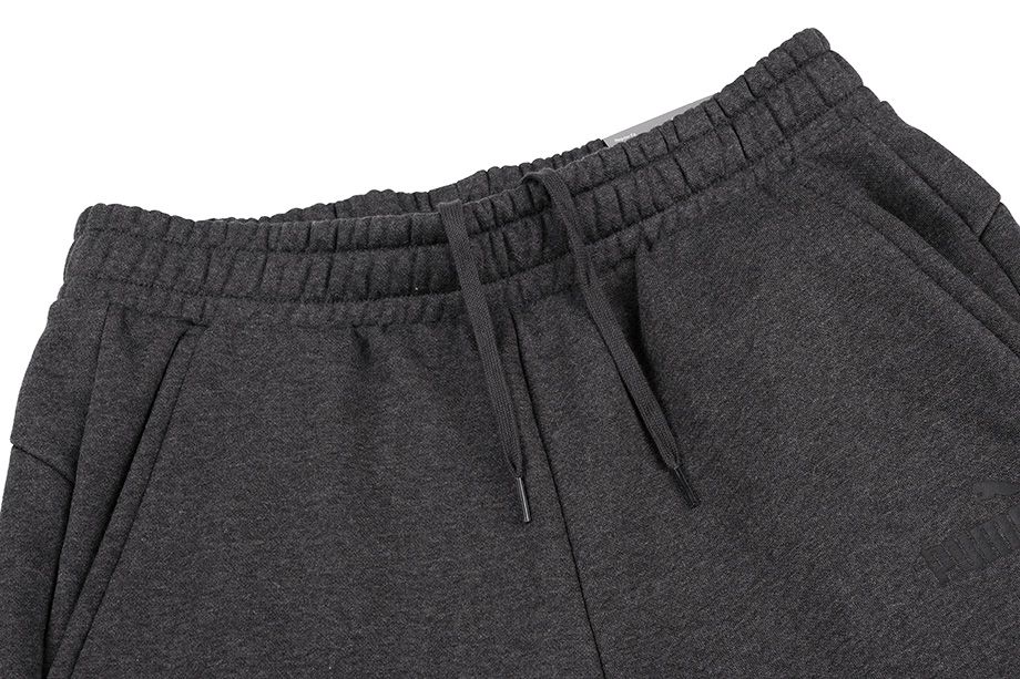 PUMA spodnie męskie ESS Logo FL CL 851753 40