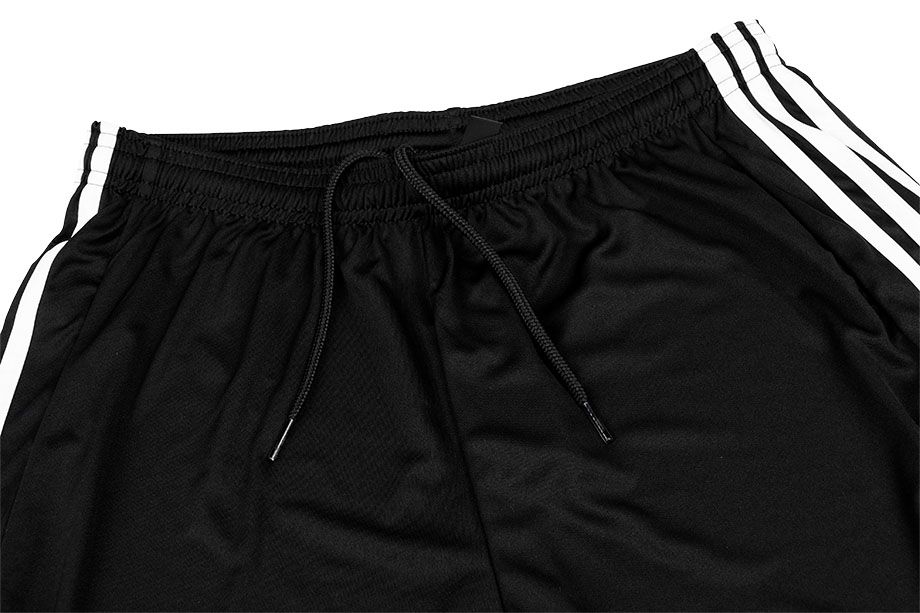 adidas męski strój sportowy koszulka spodenki Squadra 21 Jersey Short Sleeve GN5720/GN5776