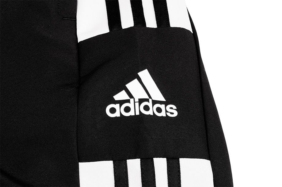 adidas Spodnie męskie Squadra 21 Presentation Pant GT8795