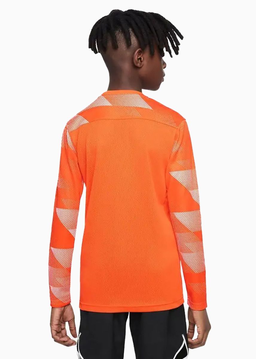 Nike Bluza bramkarska dla dzieci Dry Park IV JSY LS GK JUNIOR CJ6072 819 Nike Bluza bramkarska dla dzieci Dry Park IV JSY LS GK JUNIOR CJ6072 819