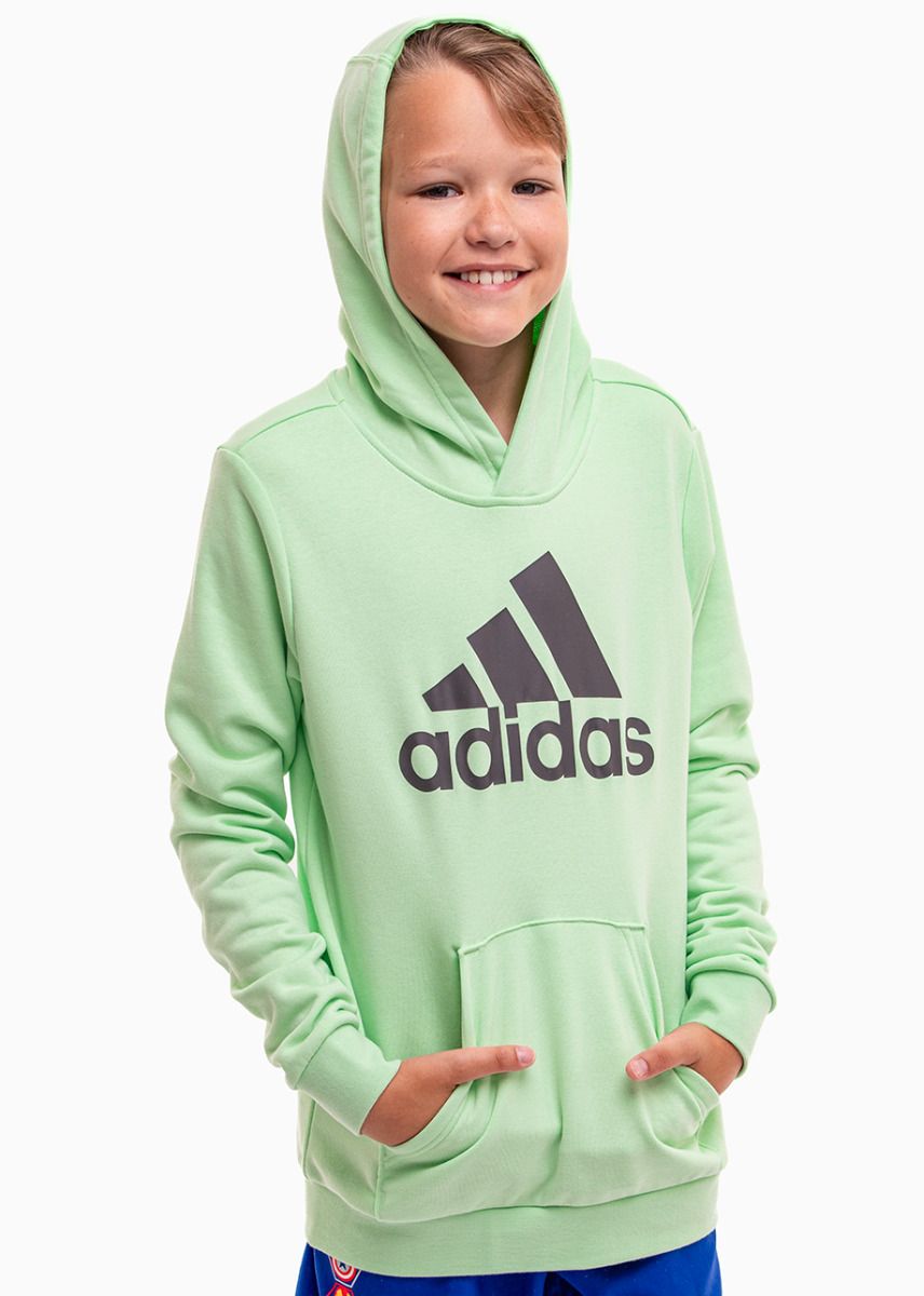 adidas Bluza dla dzieci Big Logo Essentials Cotton Hoodie IS2591