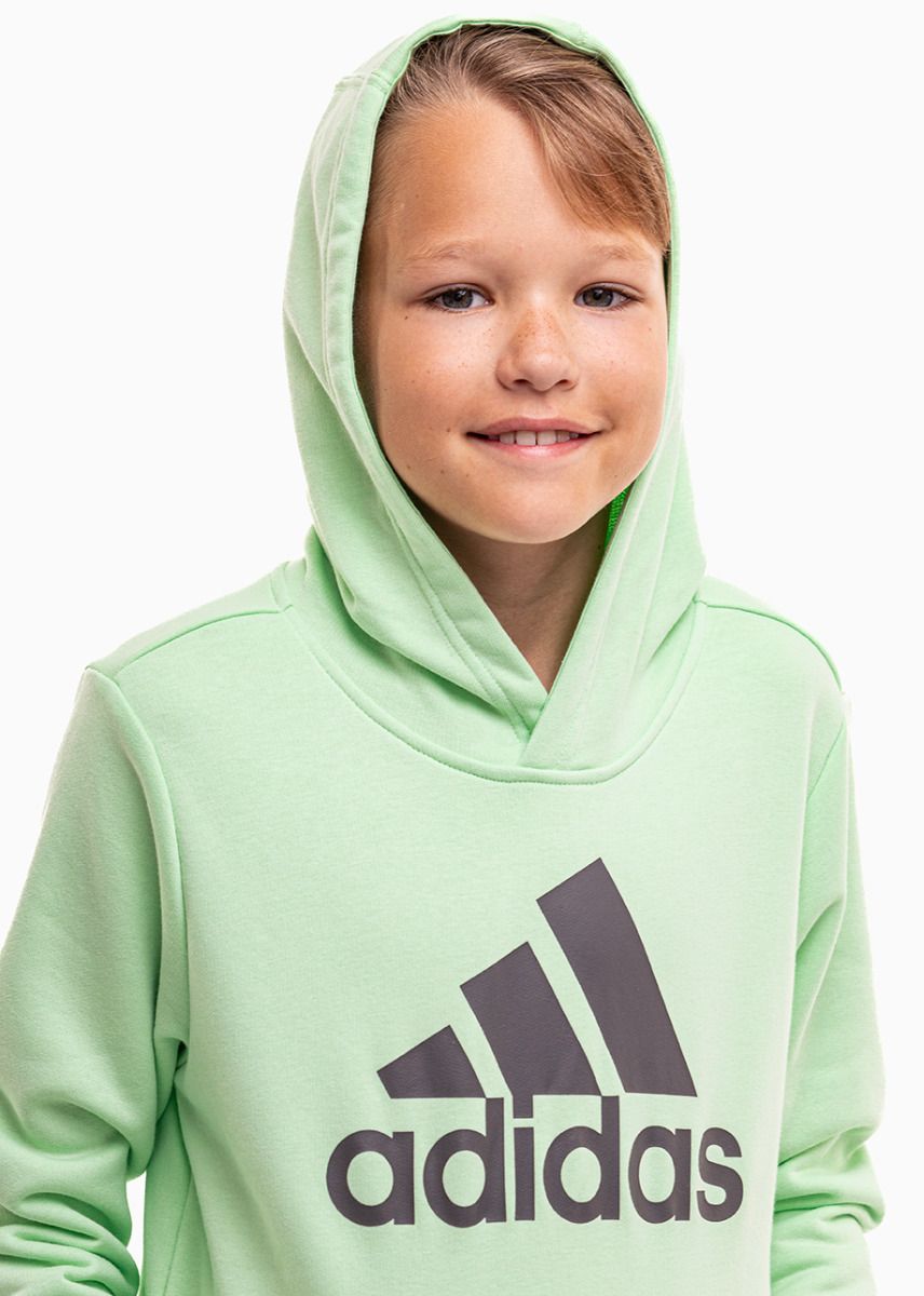 adidas Bluza dla dzieci Big Logo Essentials Cotton Hoodie IS2591