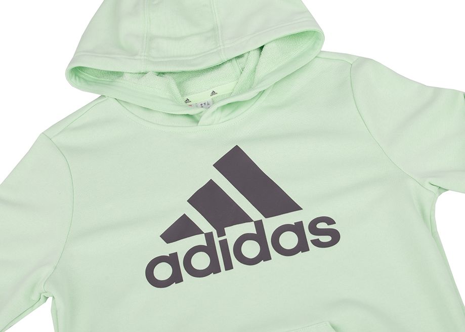 adidas Bluza dla dzieci Big Logo Essentials Cotton Hoodie IS2591