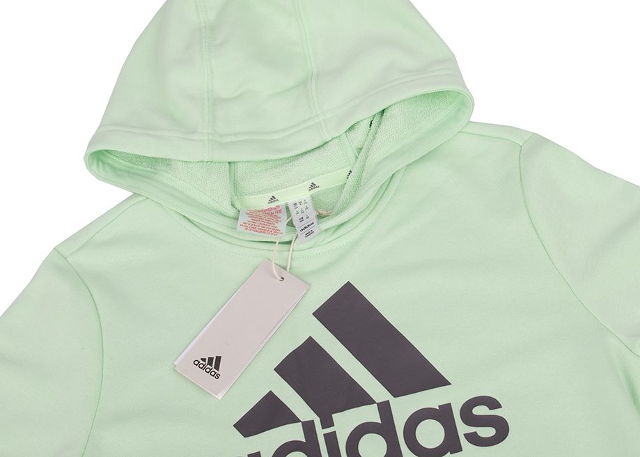 adidas Bluza dla dzieci Big Logo Essentials Cotton Hoodie IS2591