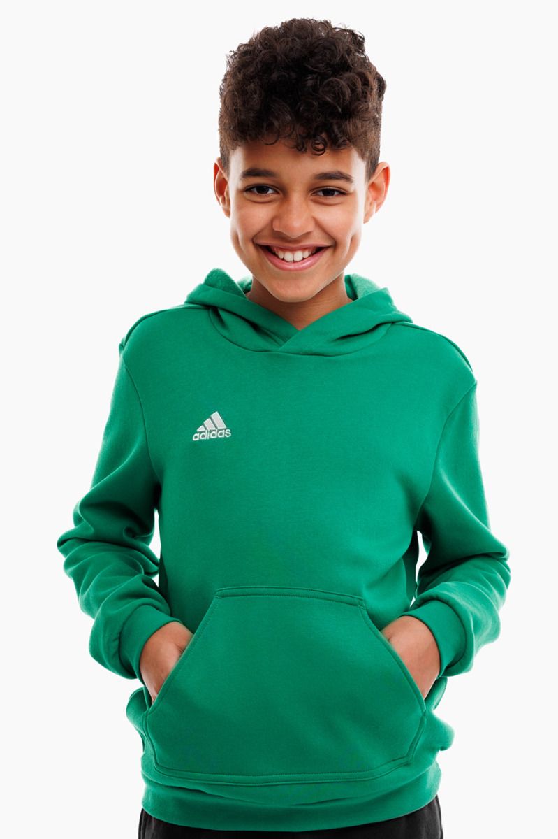 adidas Bluza dla dzieci Entrada 22 Hoody HI2143