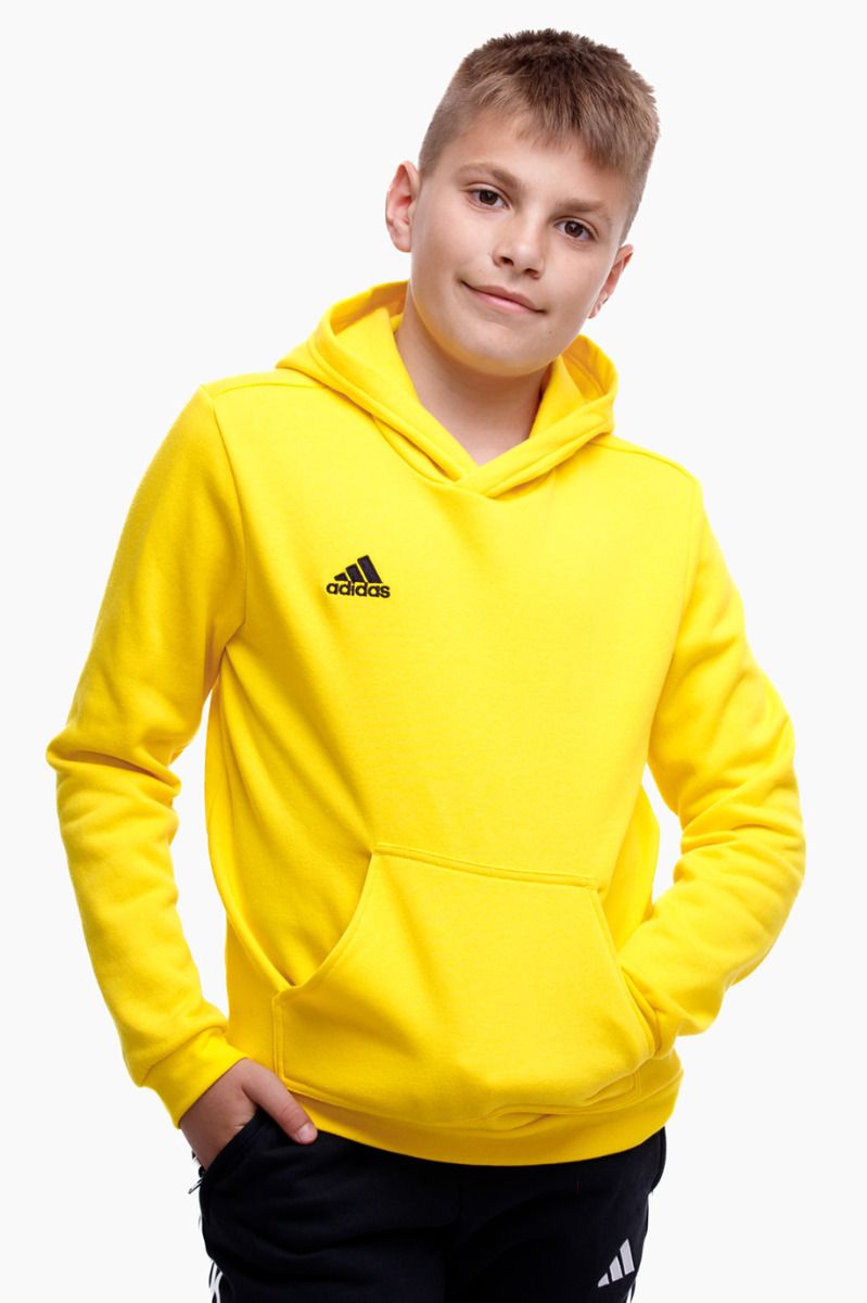 adidas Bluza dla dzieci Entrada 22 Hoody HI2142