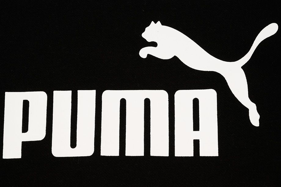 PUMA Bluza dla dzieci ESS Block Hoodie FL B 849081 04 PUMA Bluza dla dzieci ESS Block Hoodie FL B 849081 04