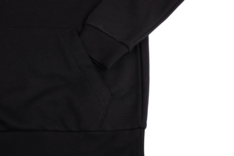 adidas Bluza męska Essentials Fleece Big Logo Hoodie GK9220