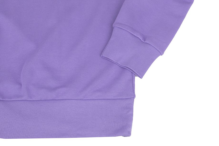 adidas bluza męska Essentials French Terry Big Logo IC9327 adidas bluza męska Essentials French Terry Big Logo IC9327