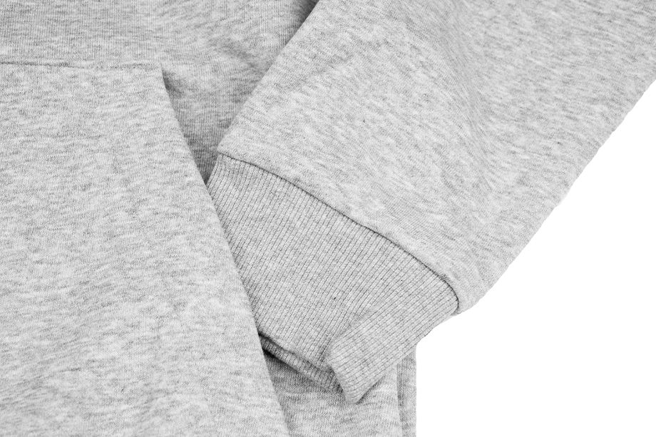 adidas Bluza męska Essentials Fleece Big Logo Hoodie GK9577