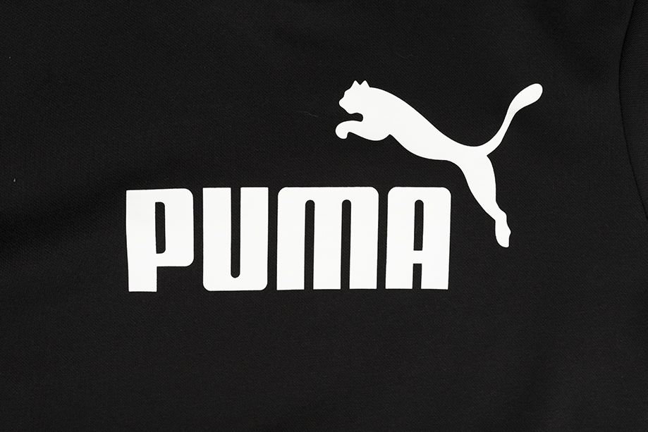 PUMA Bluza męska Big Logo Hoodie FL 586686 01