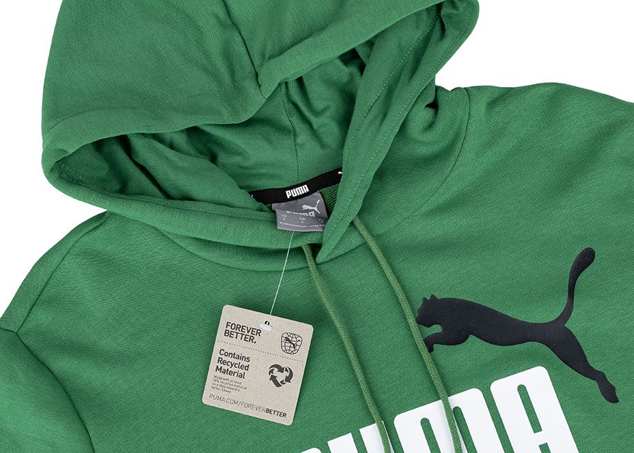 PUMA Bluza męska ESS+ 2 Col Big Logo Hoodie TR 586765 86