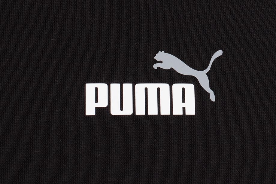 PUMA Bluza męska ESS+ 2 Col Small Logo Crew FL 674472 61