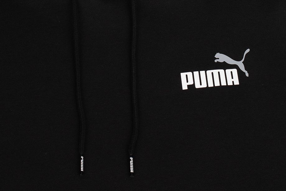 PUMA Bluza męska ESS+ 2 Col Small Logo Hoodie FL 674471 61