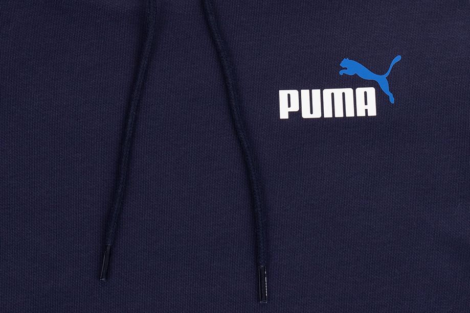 PUMA Bluza męska ESS+ 2 Col Small Logo Hoodie FL 674471 06