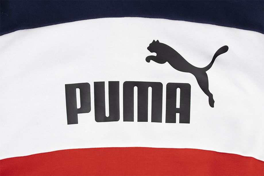 PUMA Bluza męska ESS+ Colorblock Hoodie FL 670168 06 PUMA Bluza męska ESS+ Colorblock Hoodie FL 670168 06
