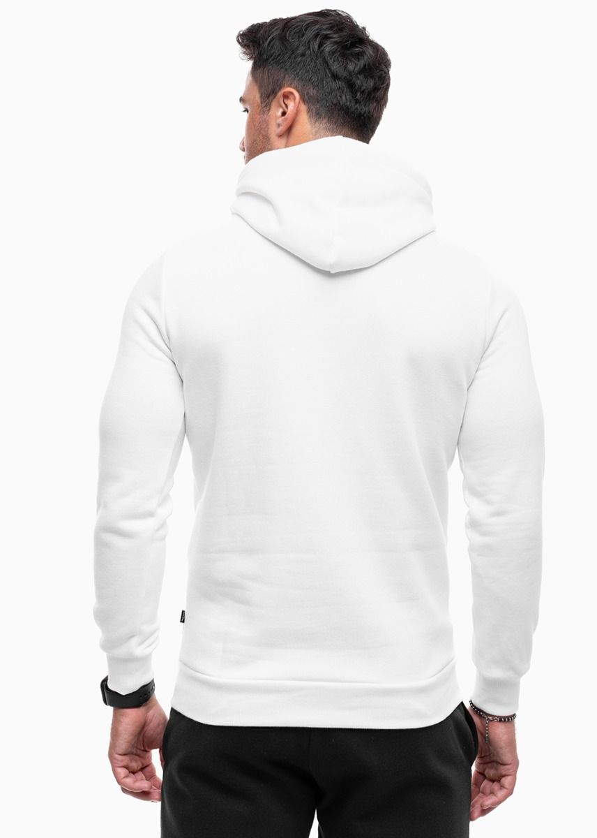 PUMA Bluza męska Ess+ Logo LAB Gradient Hoodie FL 681775 02