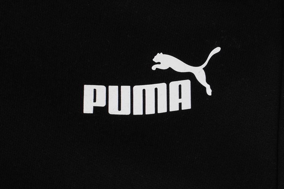 PUMA Dres męski Clean Sweat Suit FL 585841 01