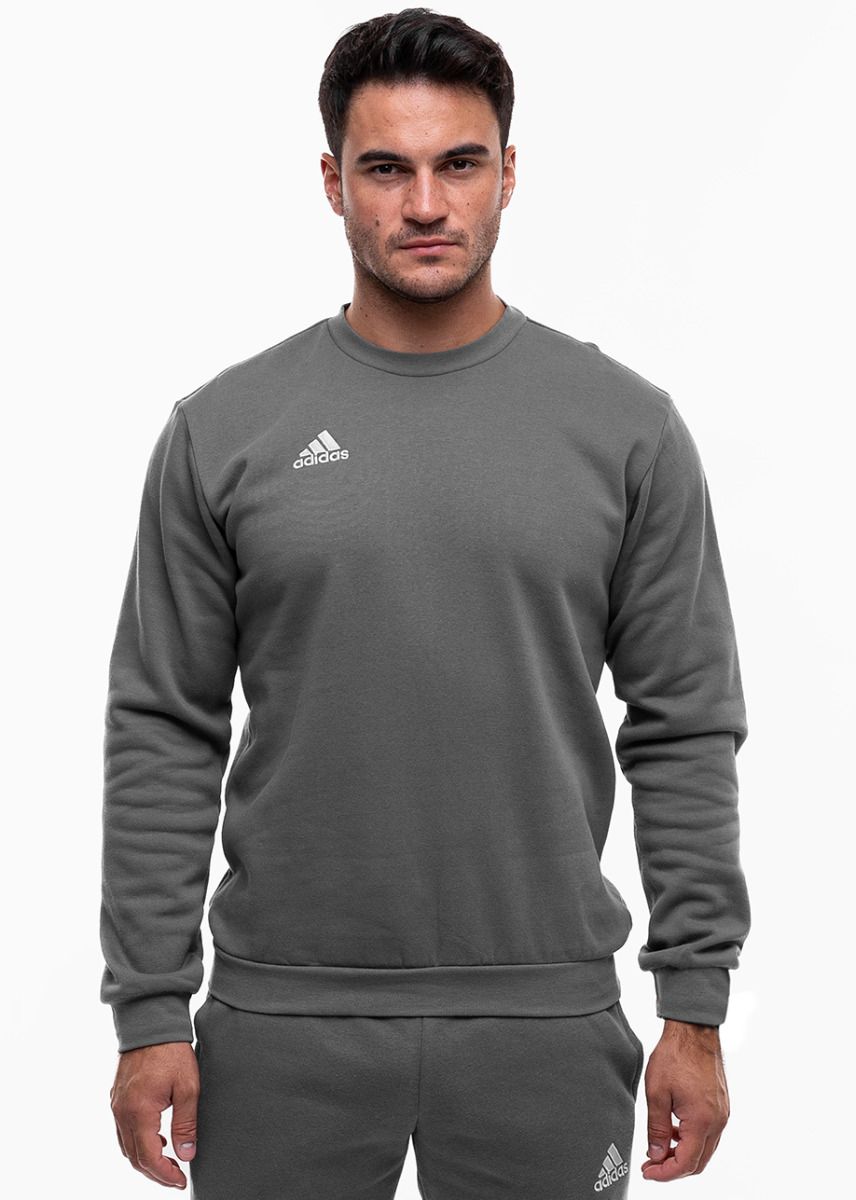 adidas Komplet męski Entrada 22 Sweat H57479/H57531