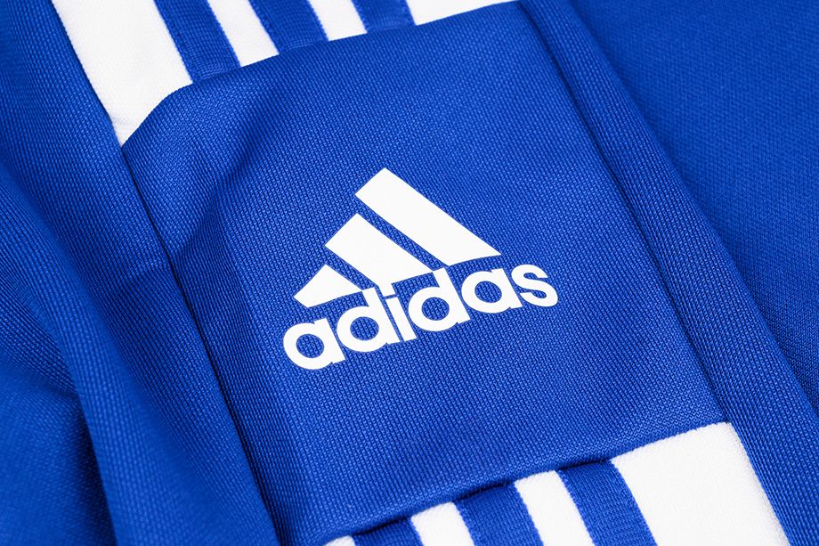 adidas Komplet męski Squadra 21 Training Hoodie GP6436/HC6273