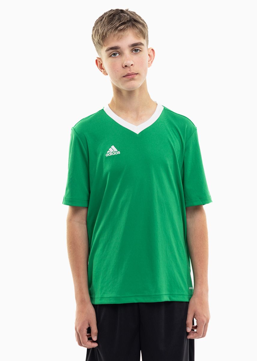 adidas Koszulka dla dzieci Entrada 22 Jersey HI2126