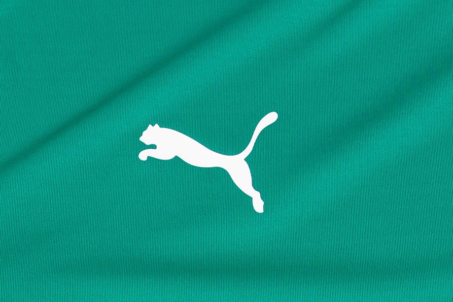 PUMA Koszulka dla dzieci teamLIGA Jersey 704925 05