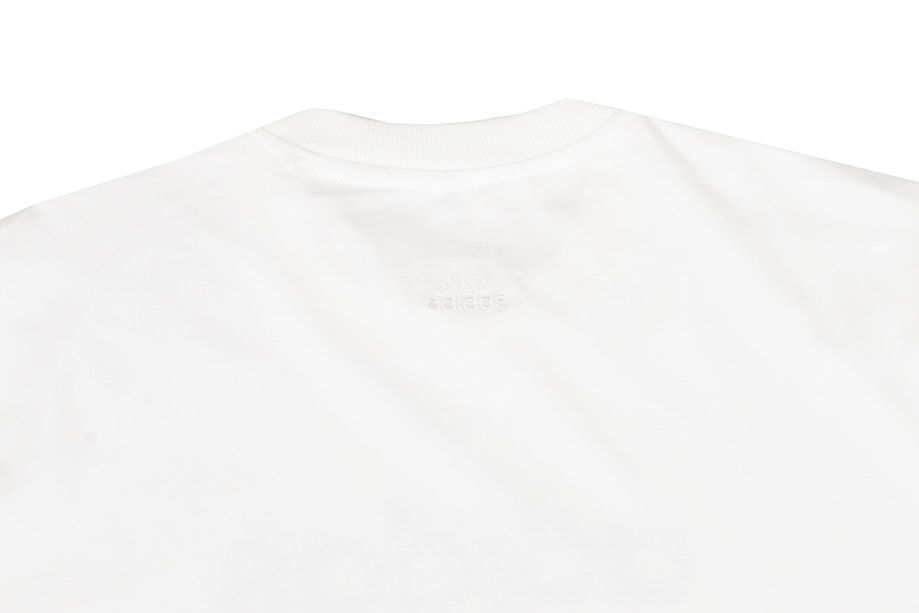 adidas Koszulka męska All SZN Graphic Tee IC9821