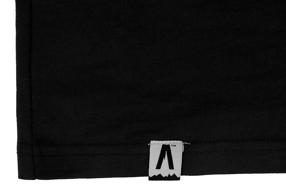 Alpinus Koszulka męska długi rękaw Breheimen SI18001
