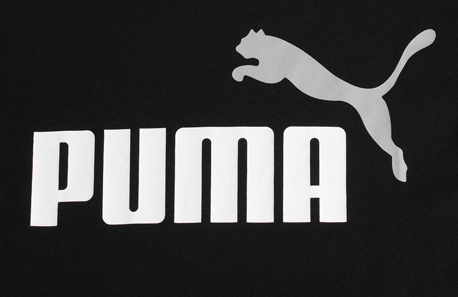 PUMA Koszulka męska ESS+ 2 Col Logo Tee 586759 61 PUMA Koszulka męska ESS+ 2 Col Logo Tee 586759 61