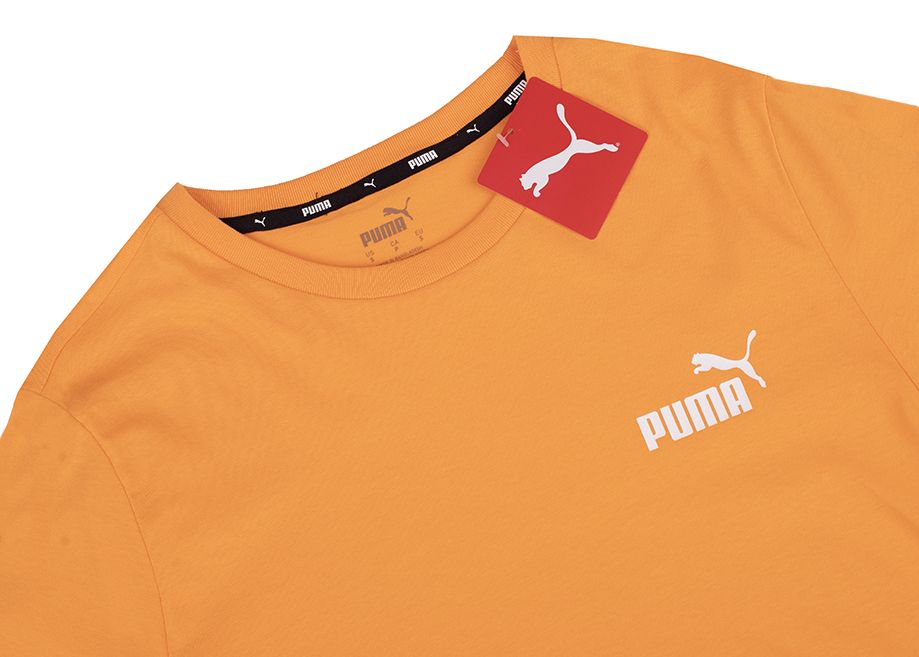 PUMA Koszulka męska ESS Small Logo Tee 586669 58