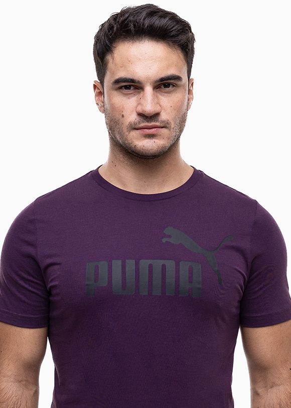 PUMA Koszulka męska Essential Logo Tee 586667 18