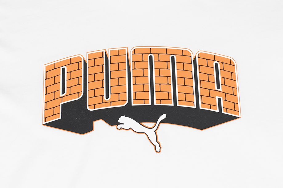 PUMA Koszulka męska Graphics Hip Hop Tee 677189 02