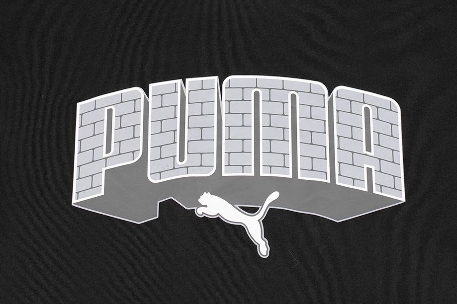 PUMA Koszulka męska Graphics Hip Hop Tee 677189 01