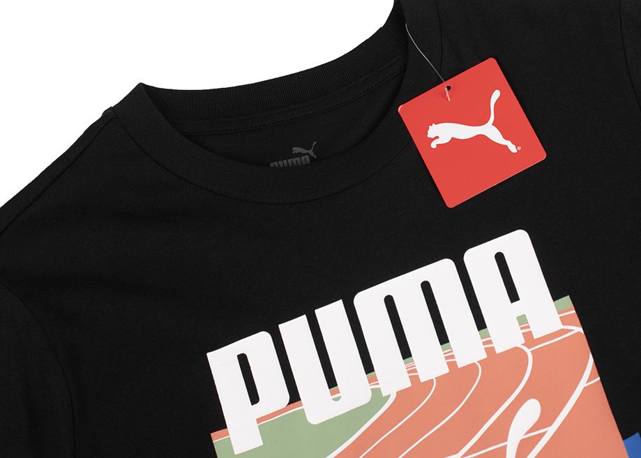 PUMA Koszulka męska GRAPHICS Summer Sports Tee II 627909 01