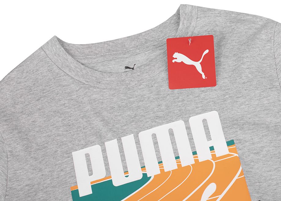 PUMA Koszulka męska GRAPHICS Summer Sports Tee II 627909 04