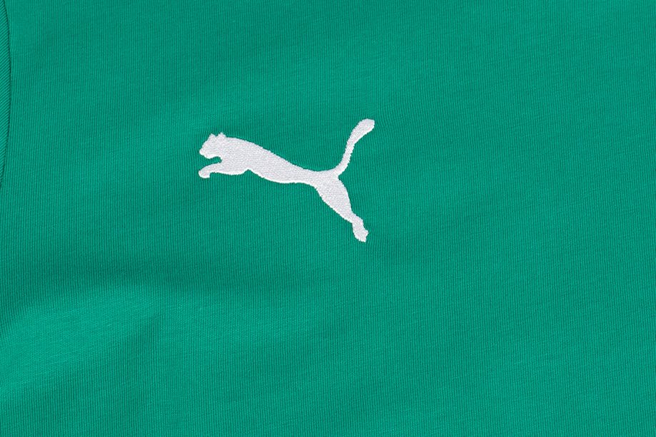 PUMA Koszulka męska teamGOAL 23 Casuals Tee 656578 05