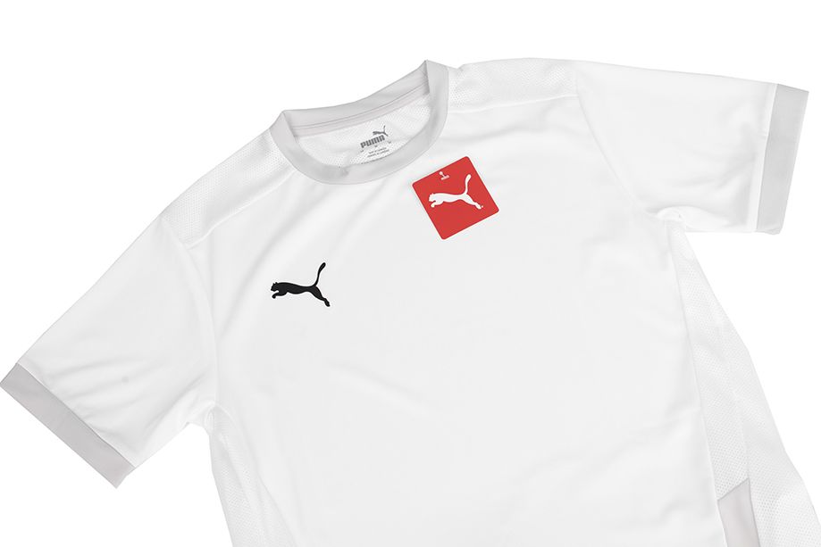 PUMA Koszulka męska teamGOAL 23 Jersey 704171 04