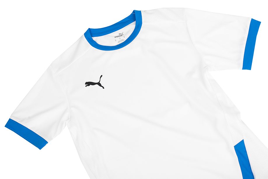 PUMA Koszulka męska teamGOAL 23 Jersey 704171 12