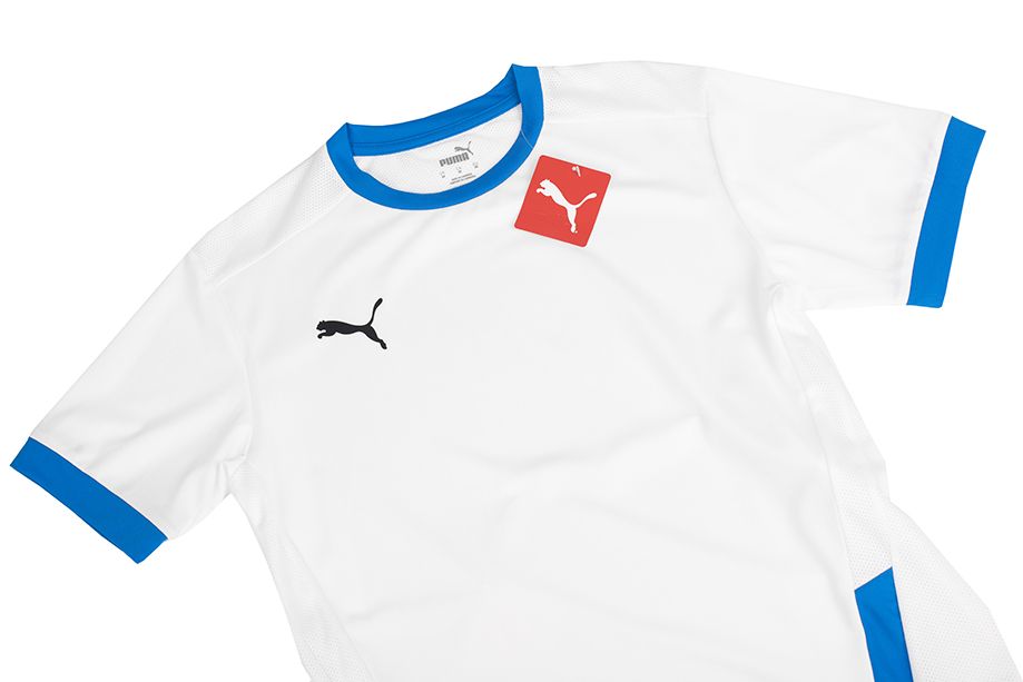 PUMA Koszulka męska teamGOAL 23 Jersey 704171 12