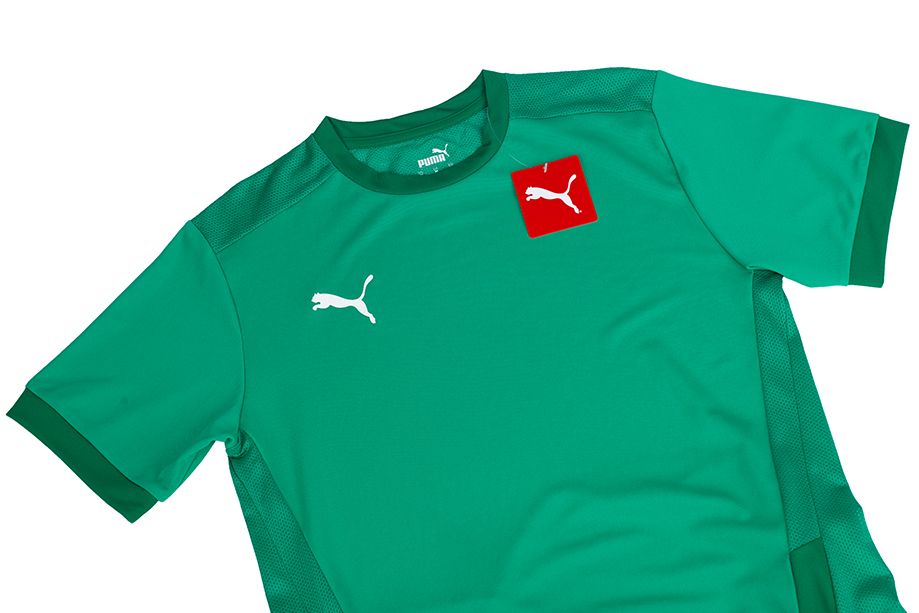 PUMA Koszulka męska teamGOAL 23 Jersey 704171 05